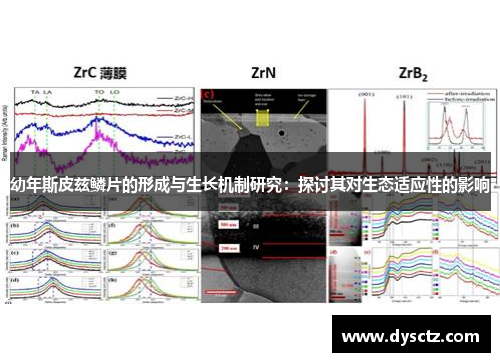 幼年斯皮兹鳞片的形成与生长机制研究：探讨其对生态适应性的影响